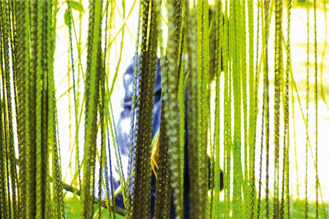 Installations Akousthea