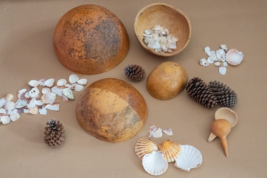 Photo instruments nature