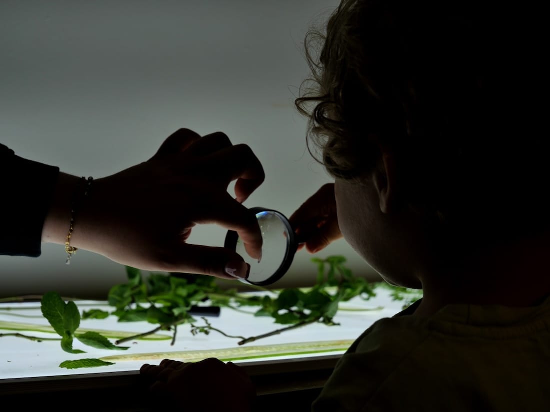 Enfant regarde légumes avec loupe